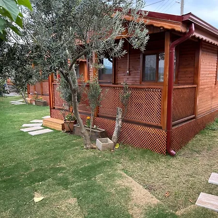 Terrace Holiday home *