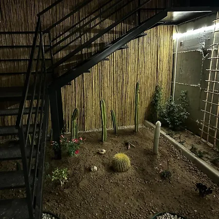 Terrace * גומולדור